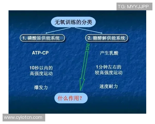 南京羽毛球队战术解析：从训练到比赛的全方位策略探讨