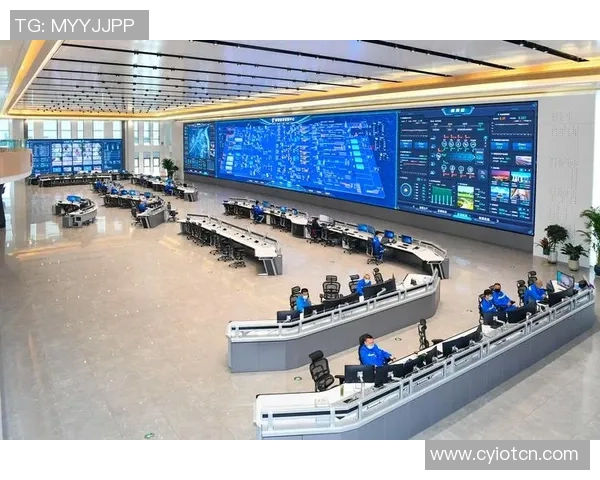 南京排球队的战术运营体系探析与实践经验分享