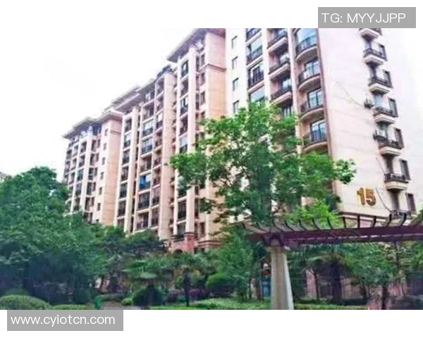 武汉街舞队在极限运动会中的战术表现分析与点评