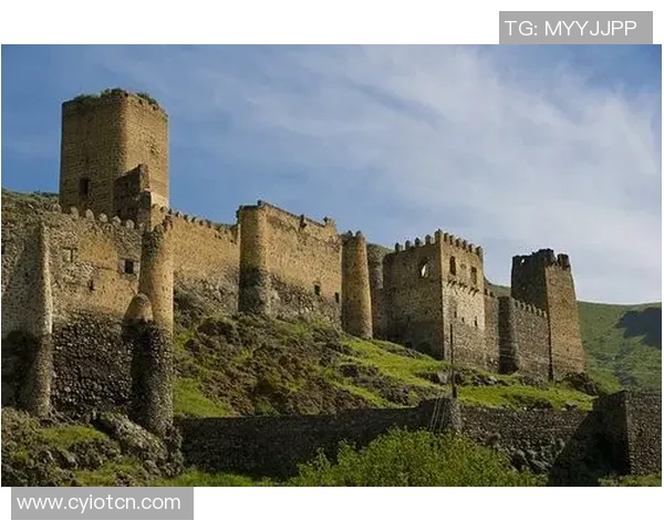 足球中亚的崛起与发展探讨：从历史到未来的全景分析