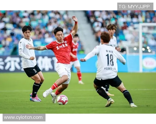 灵寿足球崛起之路：从草根到职业联赛的奋斗与梦想